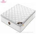 /msite/products/detail/productid/61996059/id/1498363.html